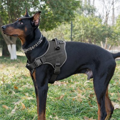   Harnais-pour-chien-tactique-noir 