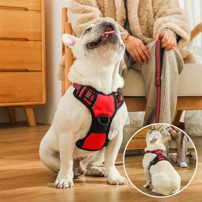 Harnais pour Chien Ultra - Confortable et Sécurisé - Balade.le.chien.com
