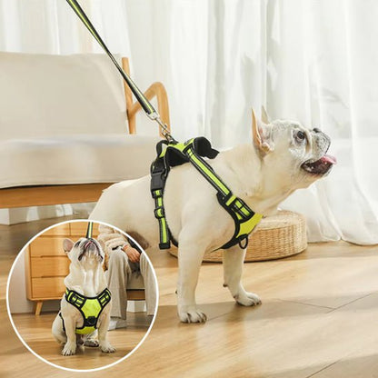 Harnais pour Chien Ultra - Confortable et Sécurisé - Balade.le.chien.com
