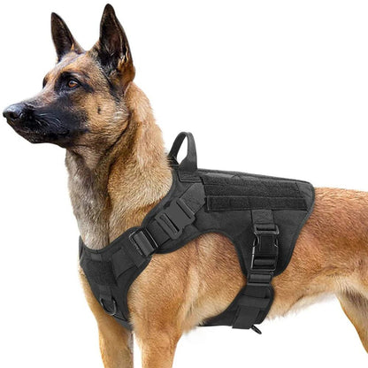 Harnais pour Chiens Exigeants - Balade.le.chien.com