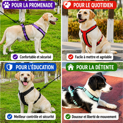 Harnais Réfléchissant pour Chien avec Poignée - Balade.le.chien.com