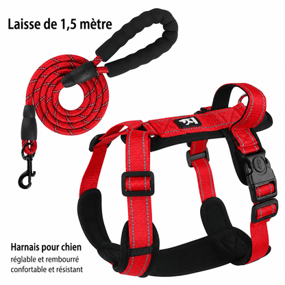 Harnais Réfléchissant pour Chien avec Poignée - Balade.le.chien.com