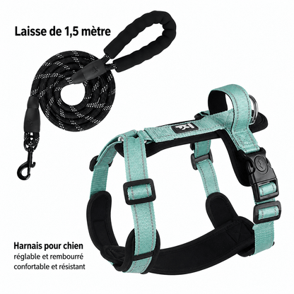 Harnais Réfléchissant pour Chien avec Poignée - Balade.le.chien.com