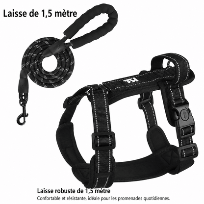 Harnais Réfléchissant pour Chien avec Poignée - Balade.le.chien.com