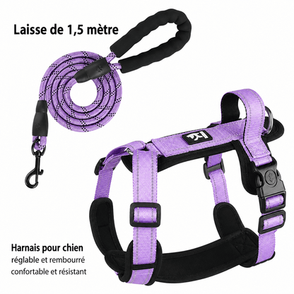 Harnais Réfléchissant pour Chien avec Poignée - Balade.le.chien.com