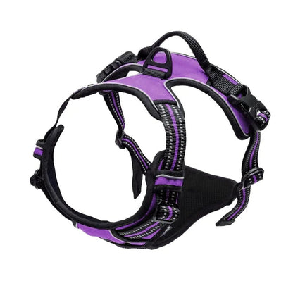 Harnais réfléchissant pour chien et chat - Balade.le.chien.com