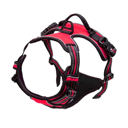 Harnais réfléchissant pour chien et chat - Balade.le.chien.com