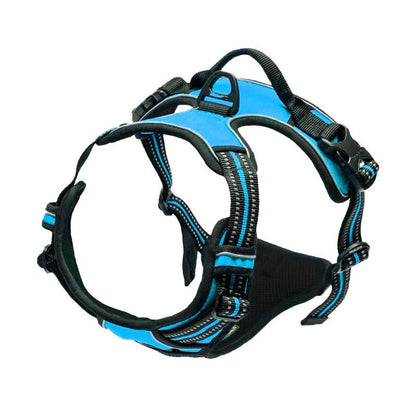 Harnais réfléchissant pour chien et chat - Balade.le.chien.com