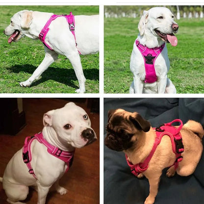 Harnais réfléchissant pour chien et chat - Balade.le.chien.com