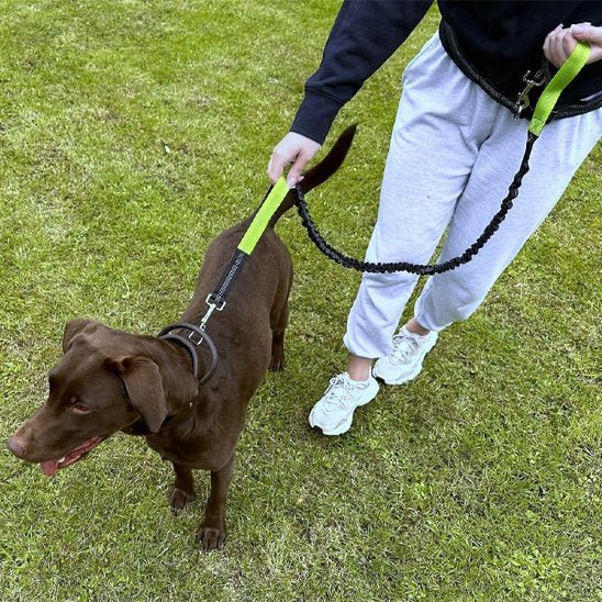 Laisse canicross | Absorbchoc - Balade.le.chien.com