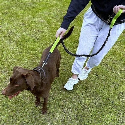 Laisse canicross | Absorbchoc - Balade.le.chien.com