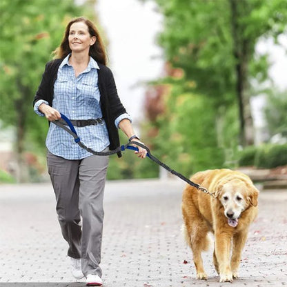 Laisse canicross | Absorbchoc - Balade.le.chien.com