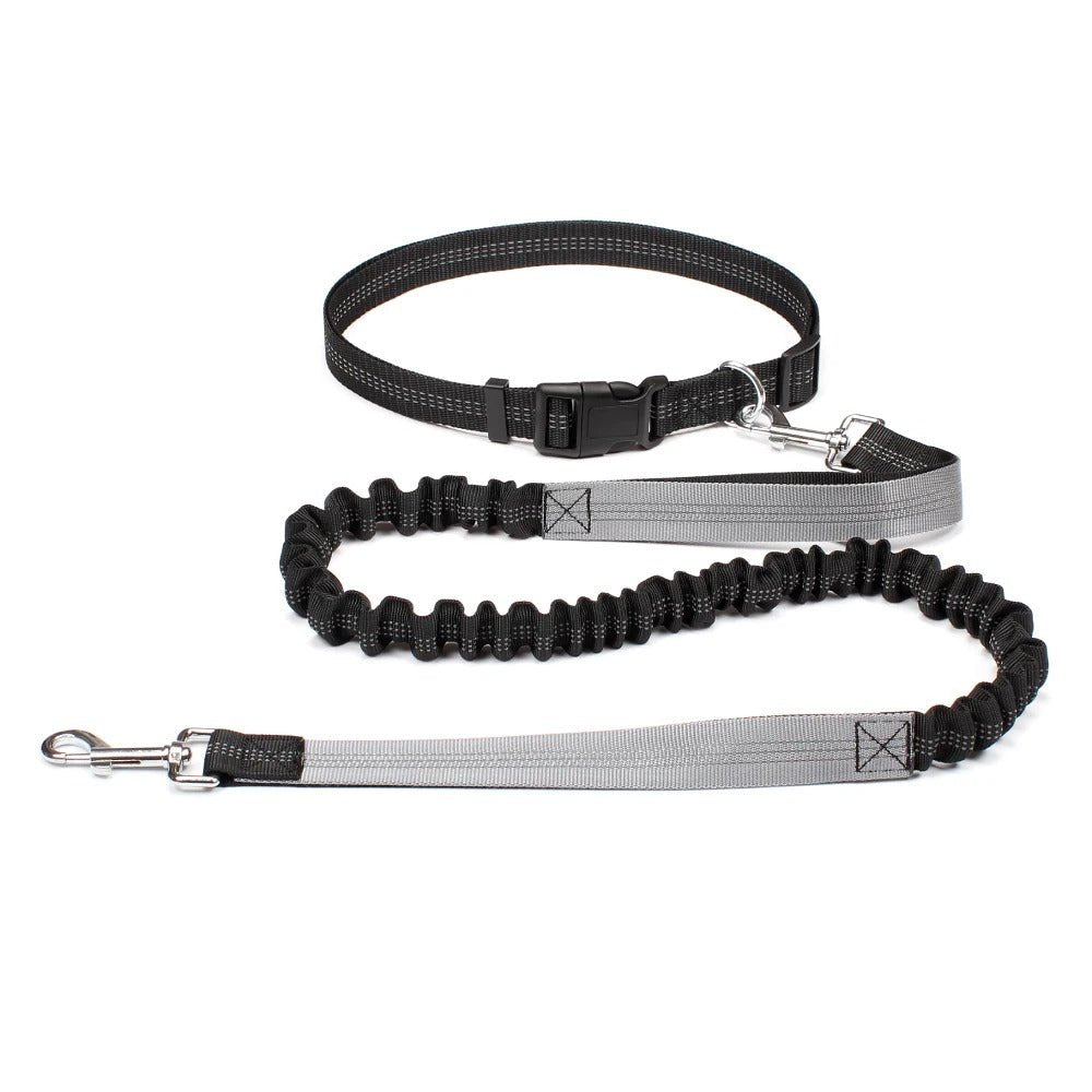 Laisse canicross | Premium Sport - Balade.le.chien.com