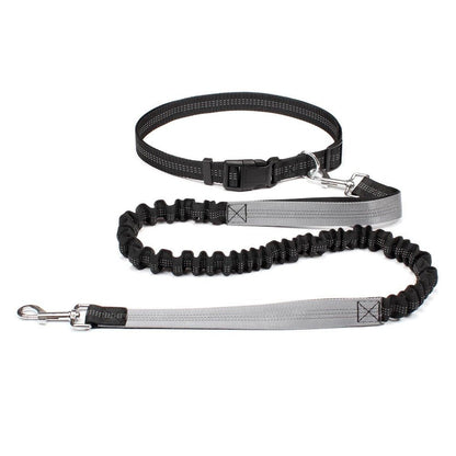 Laisse canicross | Premium Sport - Balade.le.chien.com