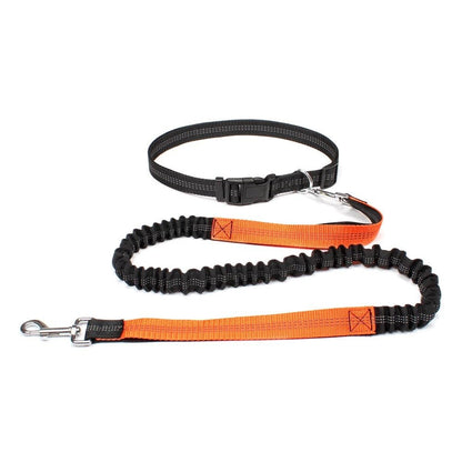 Laisse canicross | Premium Sport - Balade.le.chien.com
