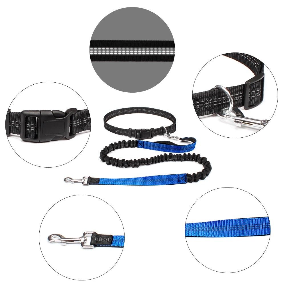 Laisse canicross | Premium Sport - Balade.le.chien.com