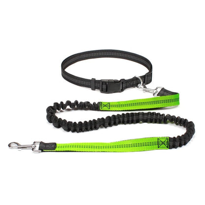 Laisse canicross | Premium Sport - Balade.le.chien.com