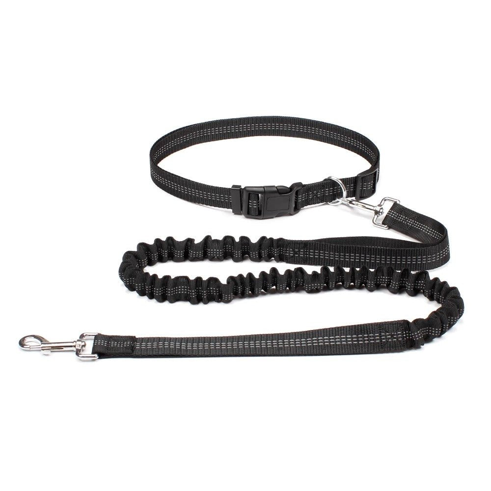 Laisse canicross | Premium Sport - Balade.le.chien.com