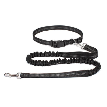 Laisse canicross | Premium Sport - Balade.le.chien.com