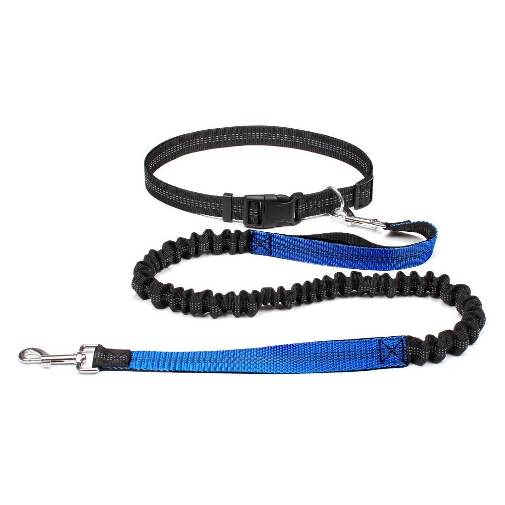 Laisse canicross | Premium Sport - Balade.le.chien.com