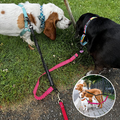 Laisse double pour chien | Promenade Sans Enchevêtrement
