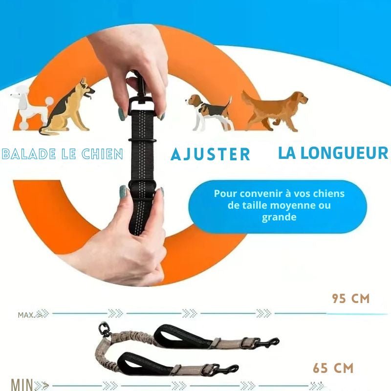 Laisse Double pour Chien Anti - Enchevêtrement | PromenaDuo - Balade.le.chien.com