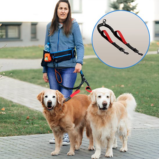 Laisse Double pour Chien Anti - Enchevêtrement | PromenaDuo - Balade.le.chien.com