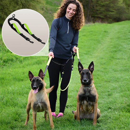 Laisse Double pour Chien Anti - Enchevêtrement | PromenaDuo - Balade.le.chien.com