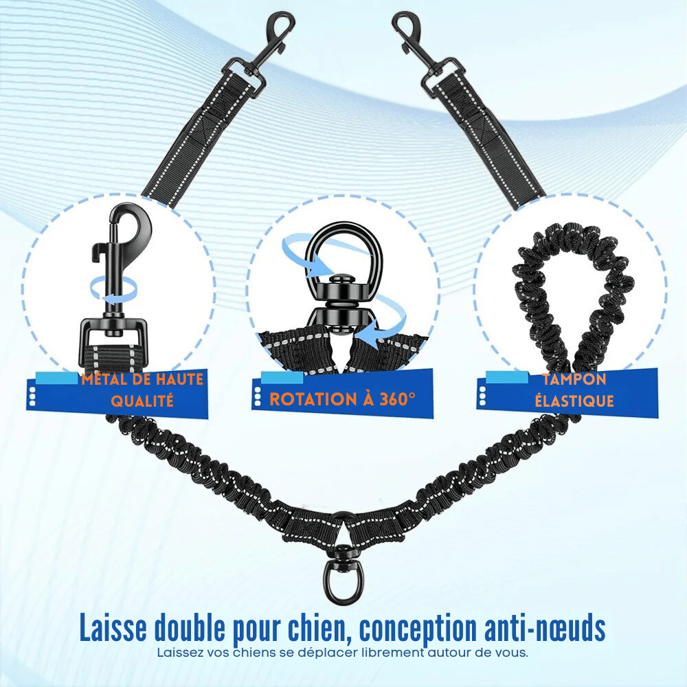 Laisse Double pour Chien Anti - Enchevêtrement | PromenaDuo - Balade.le.chien.com