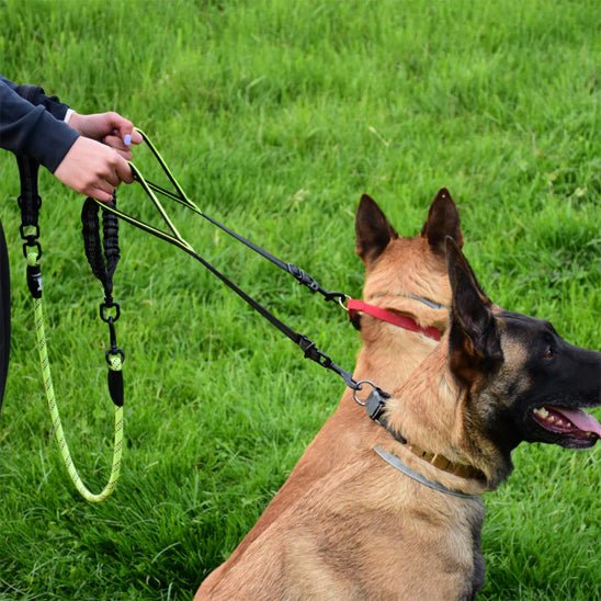 Laisse Double pour Chien Anti - Enchevêtrement | PromenaDuo - Balade.le.chien.com