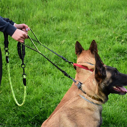 Laisse Double pour Chien Anti - Enchevêtrement | PromenaDuo - Balade.le.chien.com