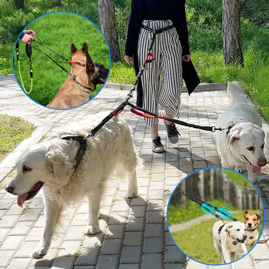 Laisse Double pour Chien Anti - Enchevêtrement | PromenaDuo - Balade.le.chien.com