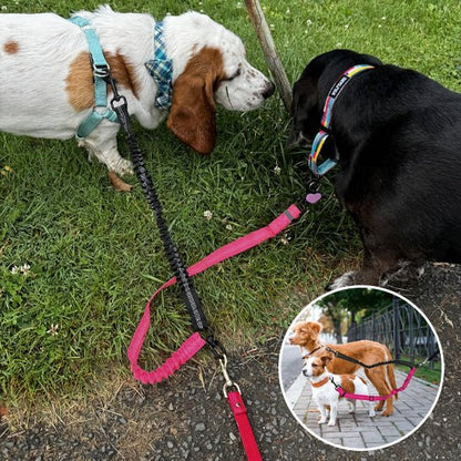 Laisse double pour chien | Promenade Sans Enchevêtrement - Balade.le.chien.com