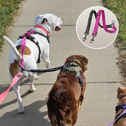 Laisse double pour chien | Promenade Sans Enchevêtrement - Balade.le.chien.com
