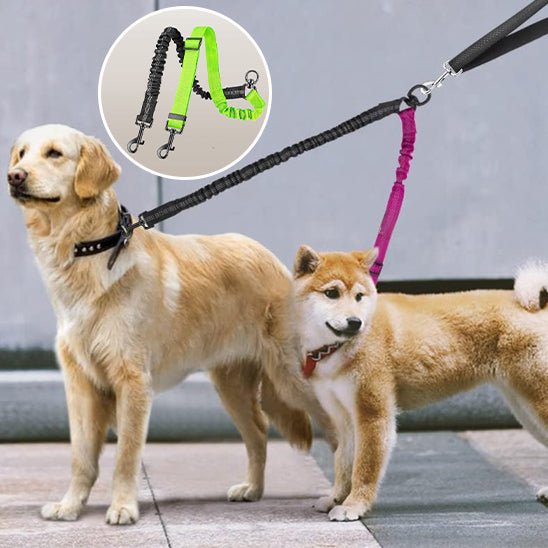 Laisse double pour chien | Promenade Sans Enchevêtrement - Balade.le.chien.com