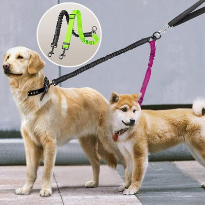 Laisse double pour chien | Promenade Sans Enchevêtrement - Balade.le.chien.com