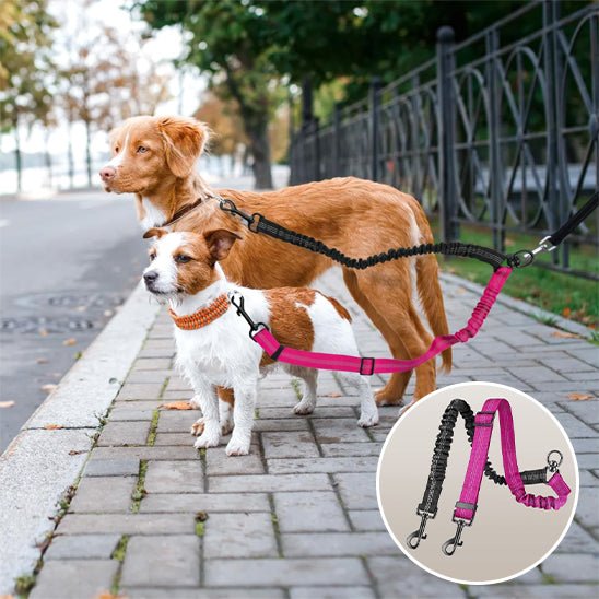 Laisse double pour chien | Promenade Sans Enchevêtrement - Balade.le.chien.com