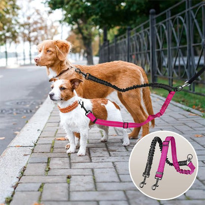Laisse double pour chien | Promenade Sans Enchevêtrement - Balade.le.chien.com