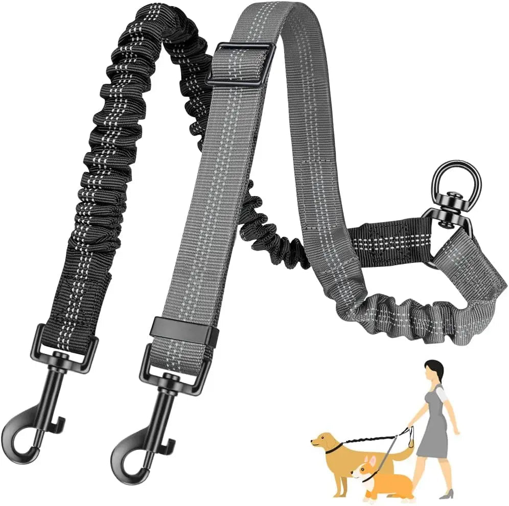 Laisse double pour chien | Promenade Sans Enchevêtrement - Balade.le.chien.com