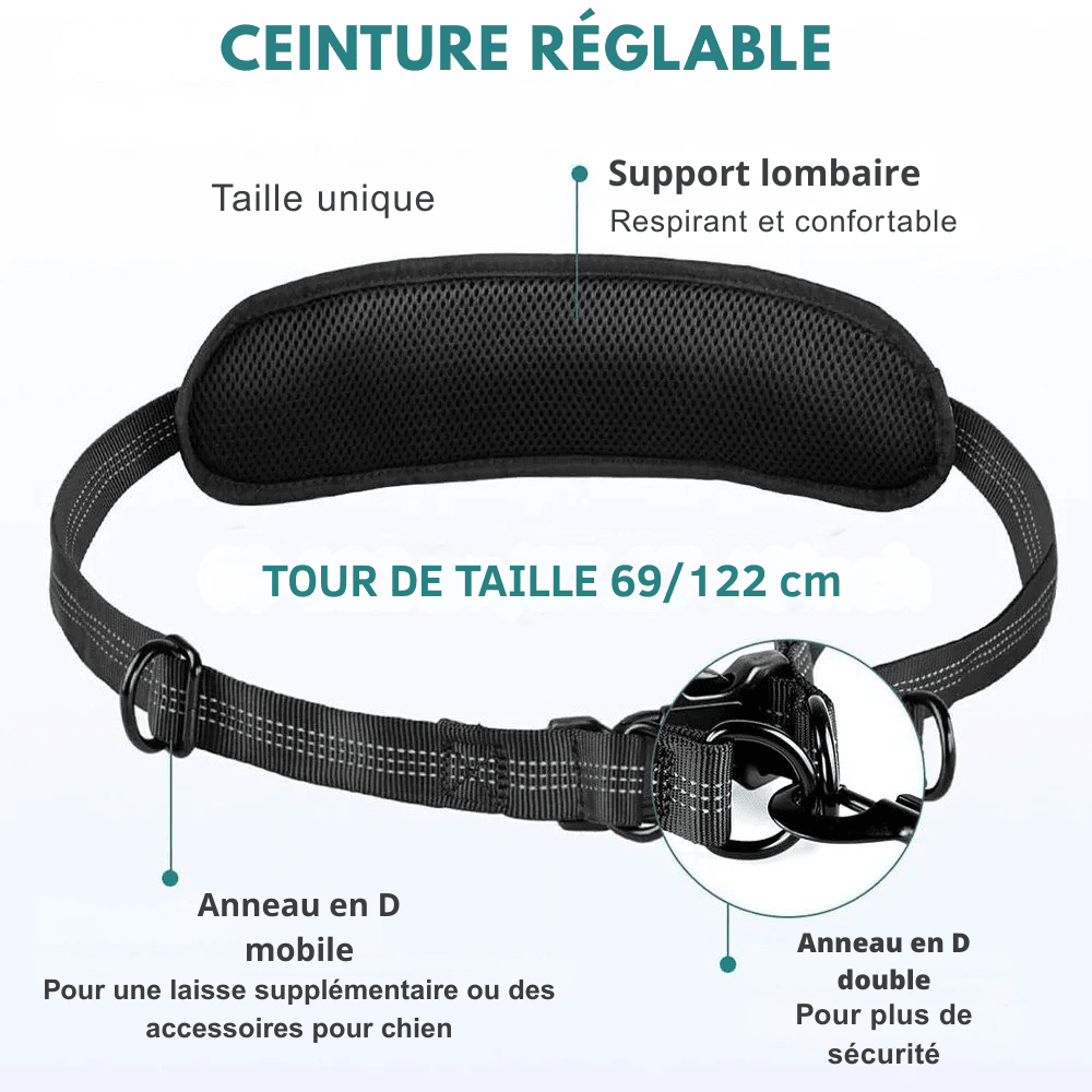 LAISSE MAINS LIBRE | Support Lombaire - Balade.le.chien.com
