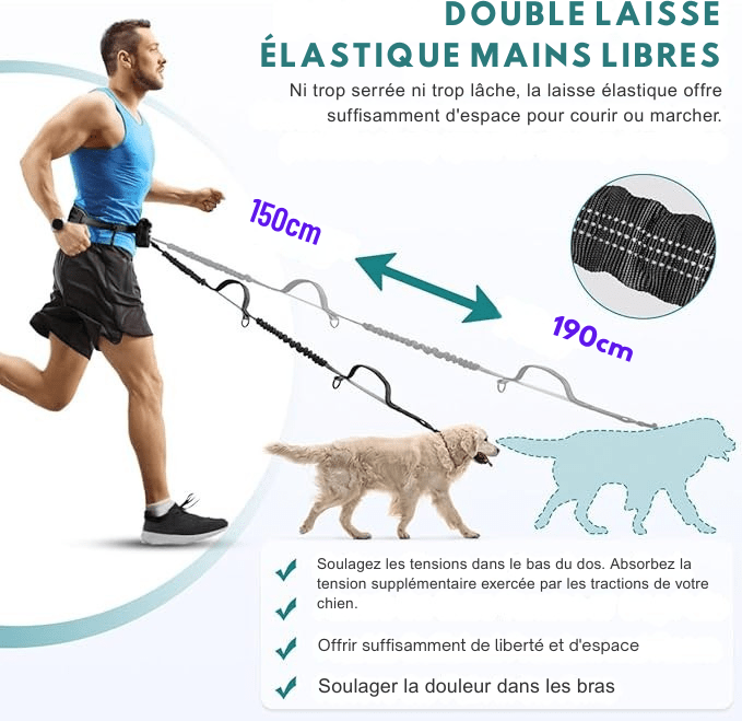 LAISSE MAINS LIBRE | Support Lombaire - Balade.le.chien.com
