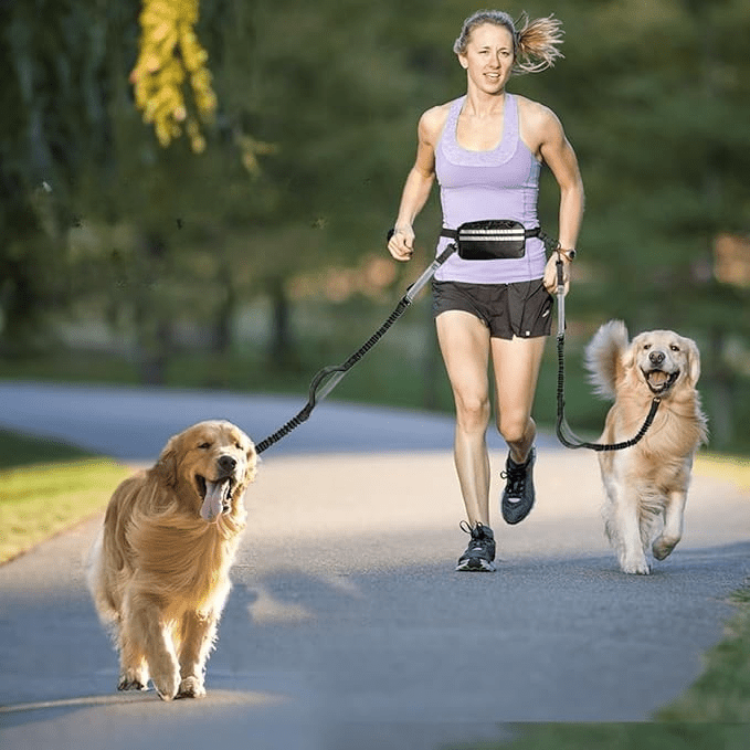 LAISSE MAINS LIBRE | Support Lombaire - Balade.le.chien.com