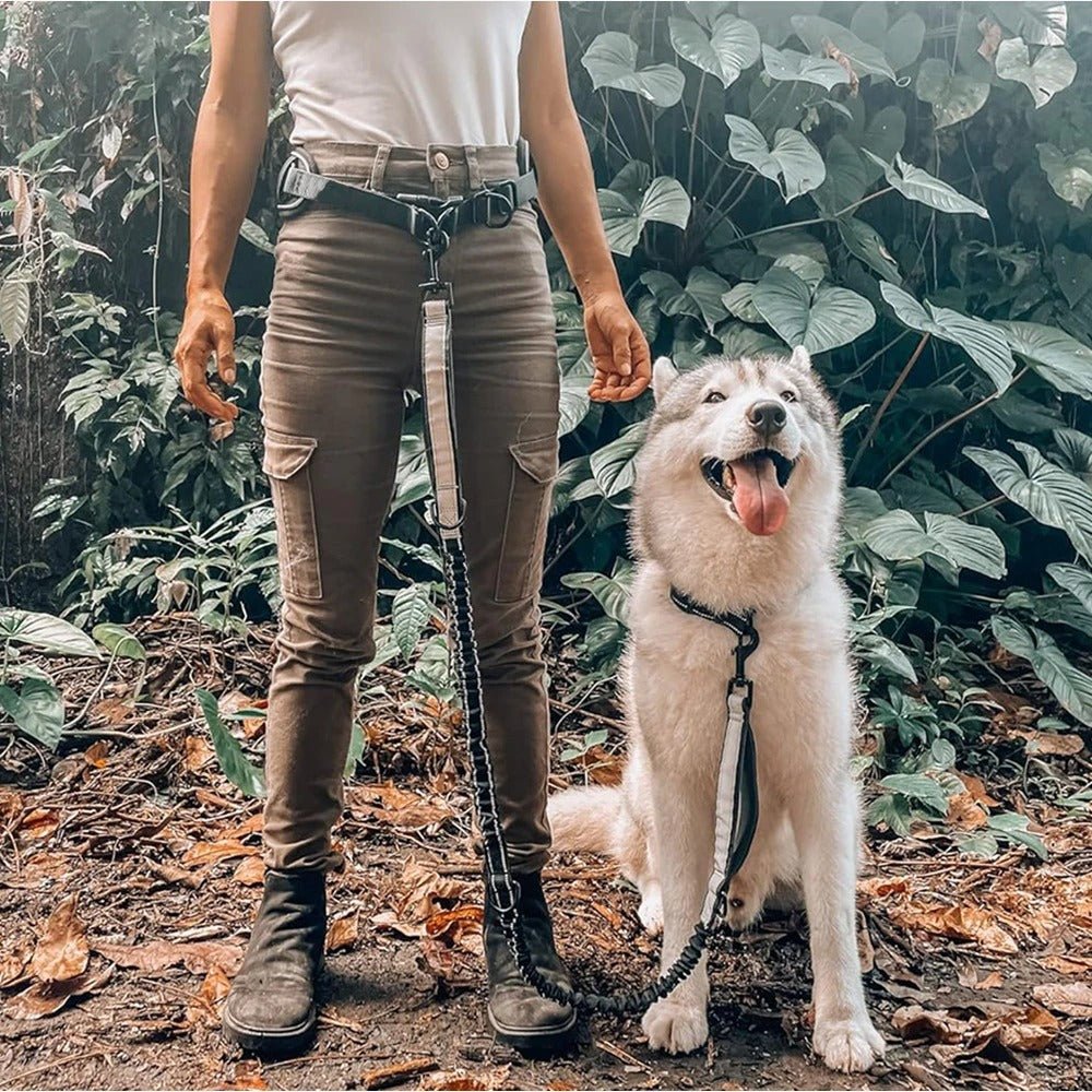 Laisse Mains Libres avec Ceinture - Balade.le.chien.com