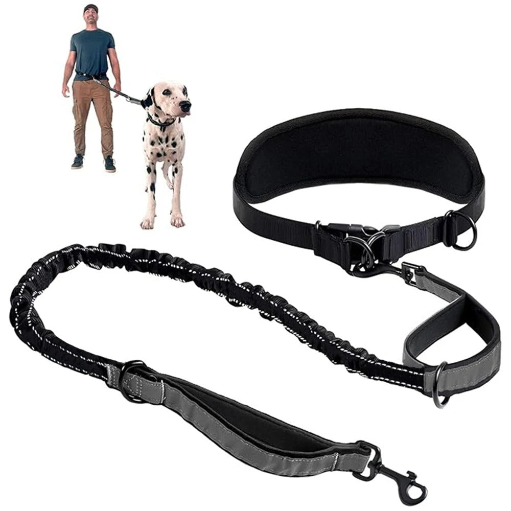 Laisse Mains Libres avec Ceinture - Balade.le.chien.com