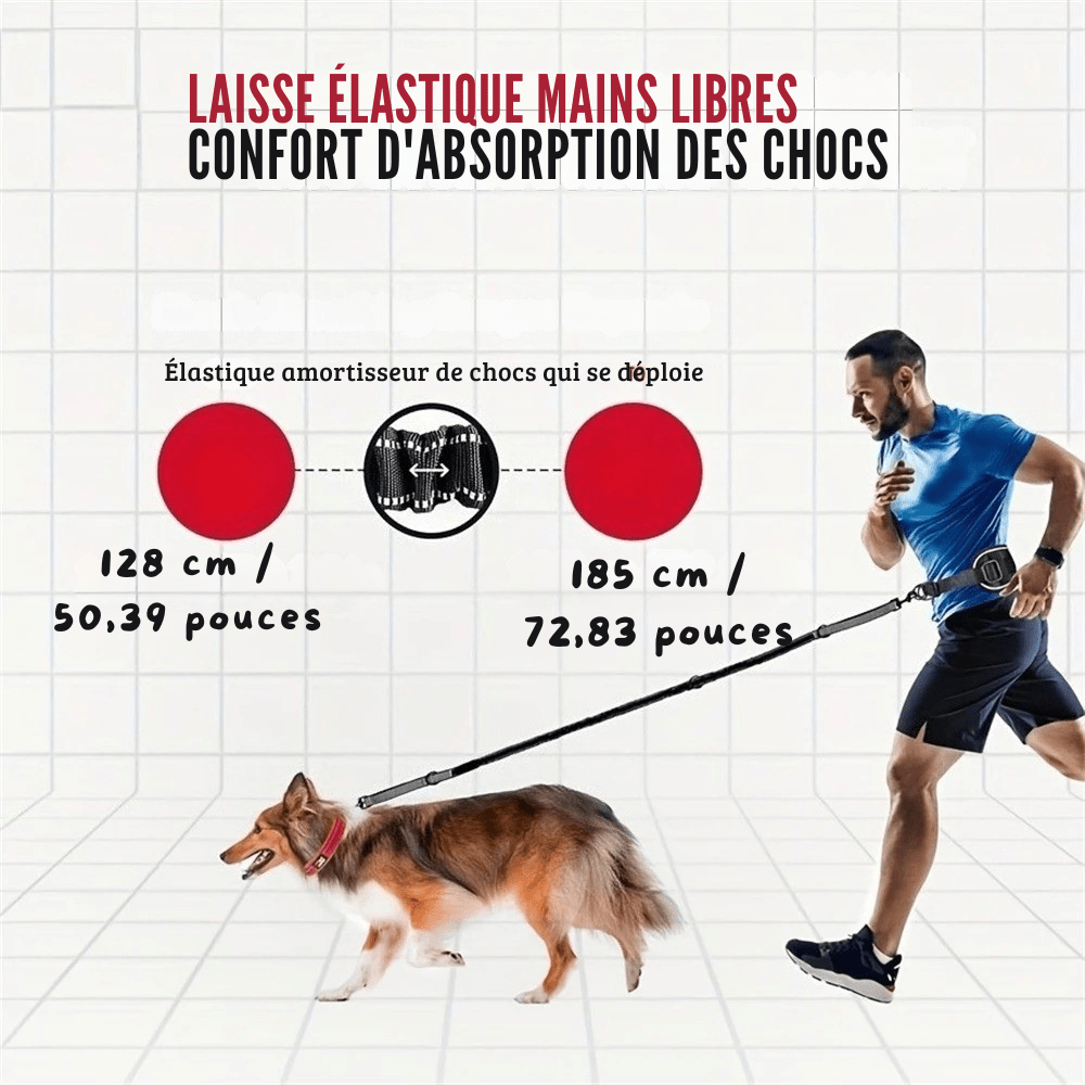 Laisse Mains Libres avec Ceinture - Balade.le.chien.com