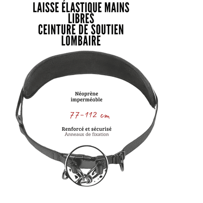 Laisse Mains Libres avec Ceinture - Balade.le.chien.com