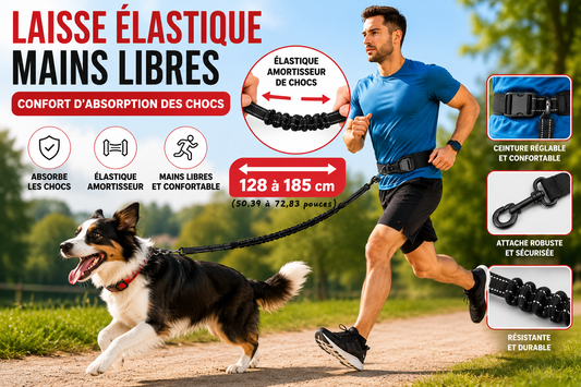 Laisse Mains Libres avec Ceinture Lombaire pour Chien - Balade.le.chien.com