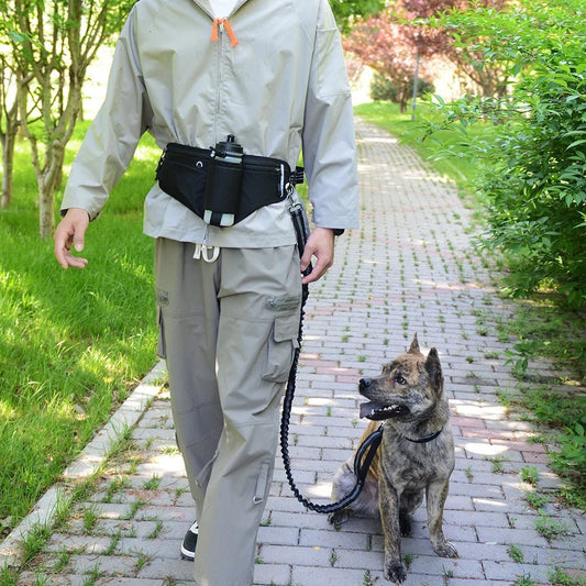 Laisse Mains Libres avec Pochette - Balade.le.chien.com