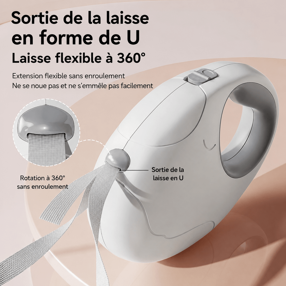 Laisse pour Chien | Confort Résistant - Balade.le.chien.com