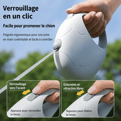 Laisse pour Chien | Confort Résistant - Balade.le.chien.com